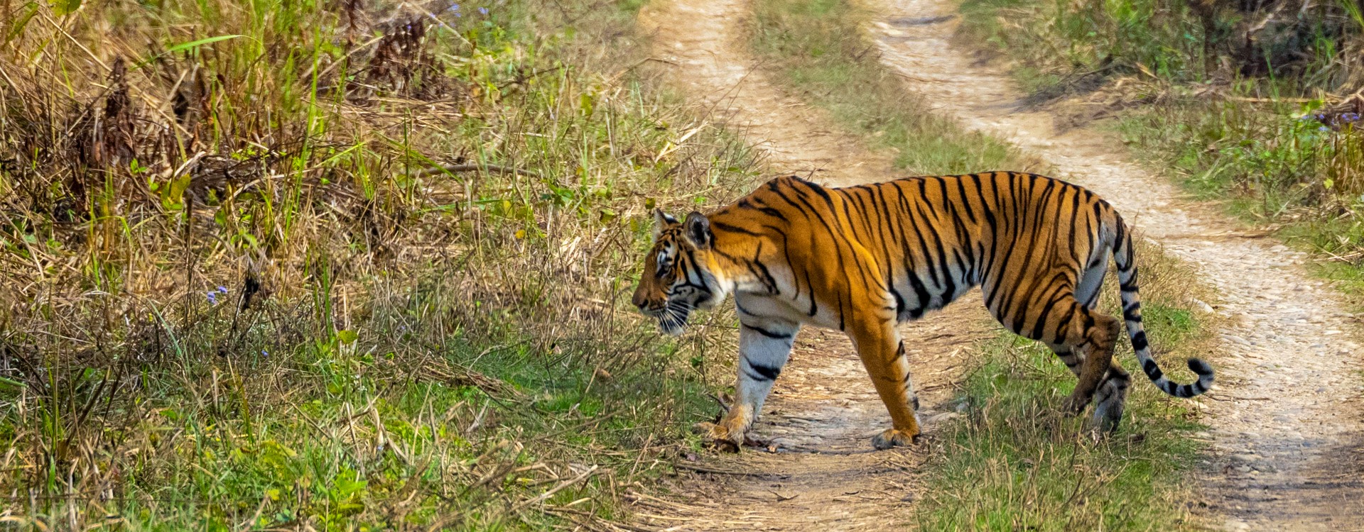 Chitwan National Park